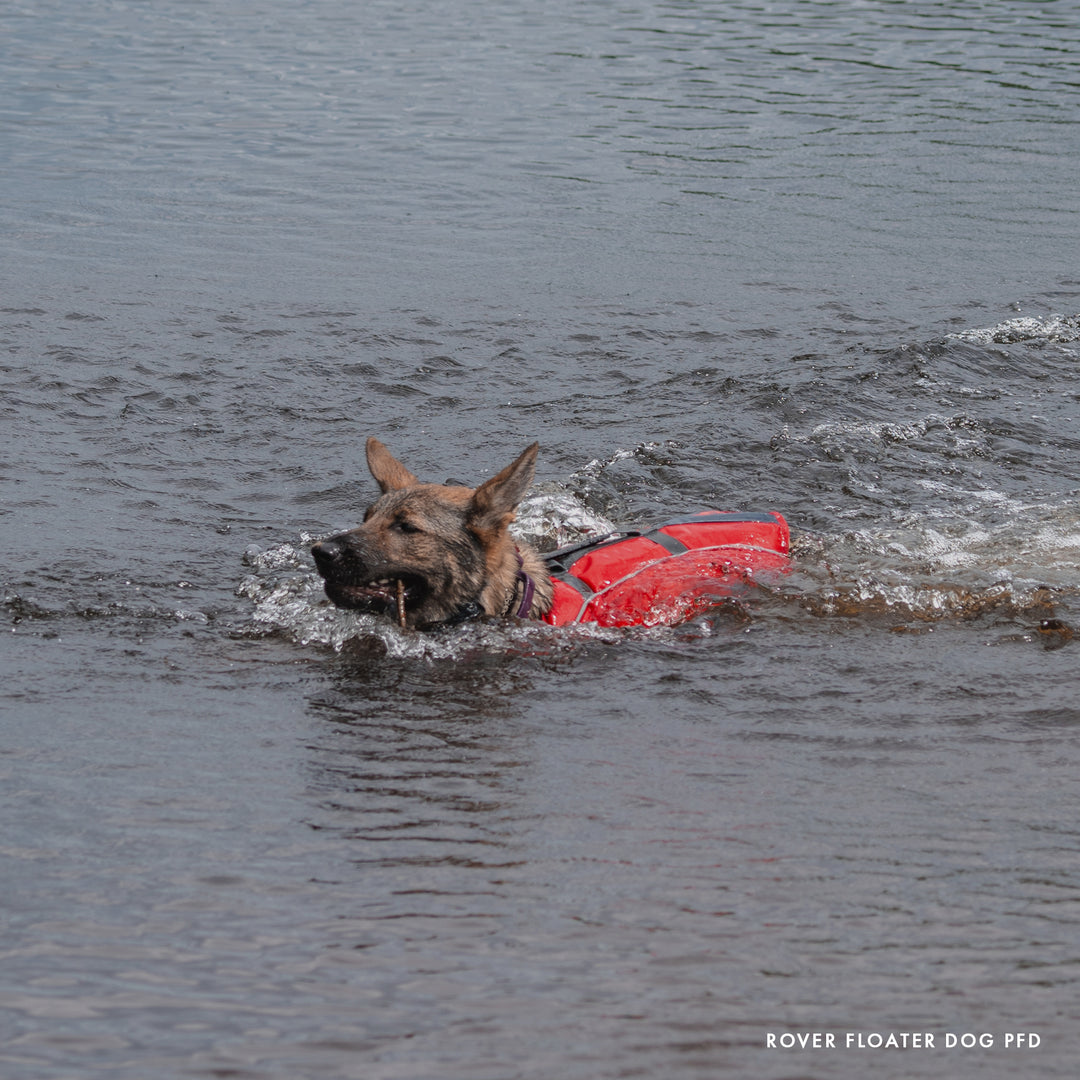 Rover Floater Dog PFD M / L